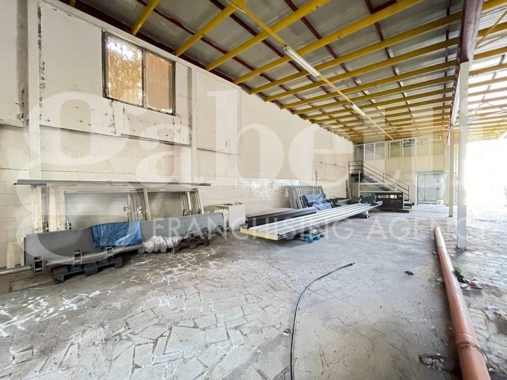 immagine annuncio 5 di 14