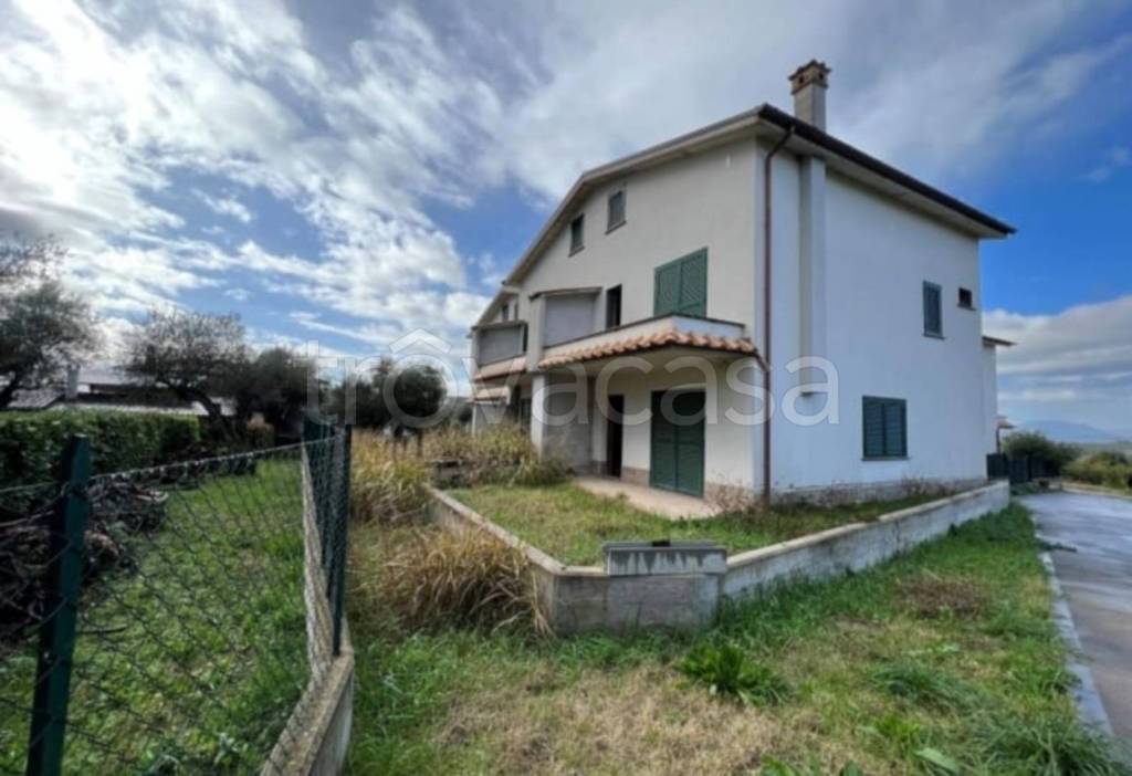 immagine annuncio 11 di 14