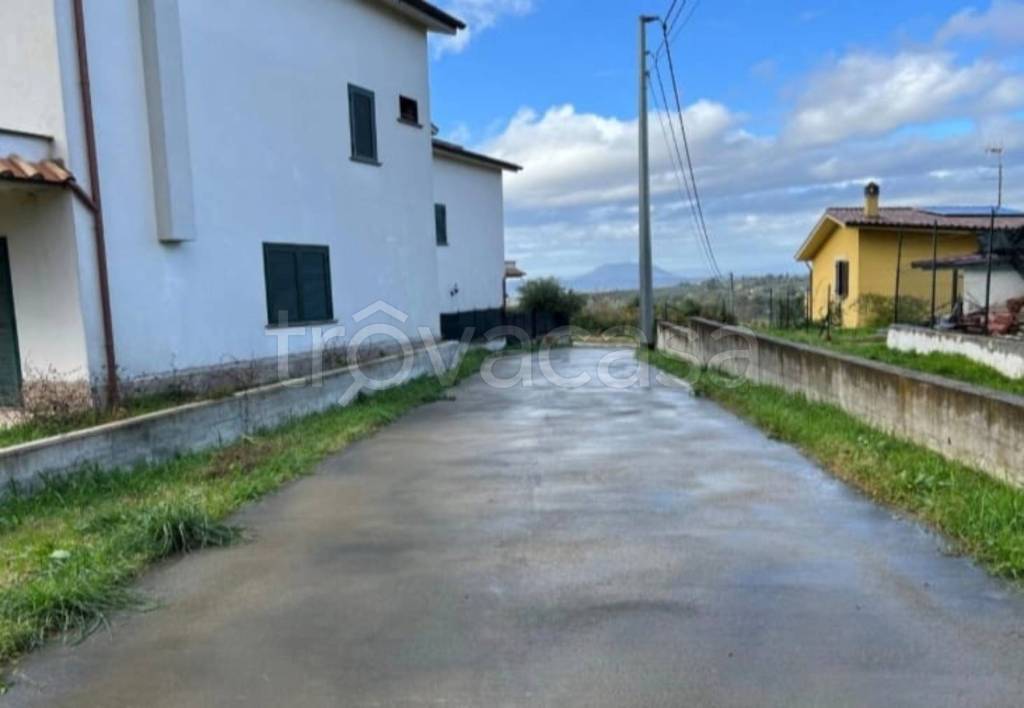 immagine annuncio 5 di 14