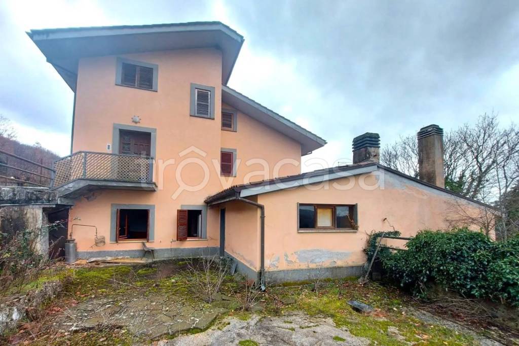 immagine annuncio 4 di 12