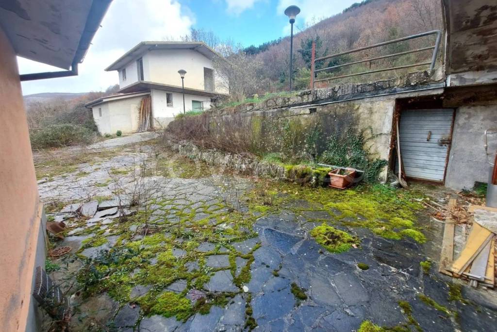 immagine annuncio 5 di 12