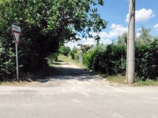 Terreno agricolo all'asta a cepagatti via campania