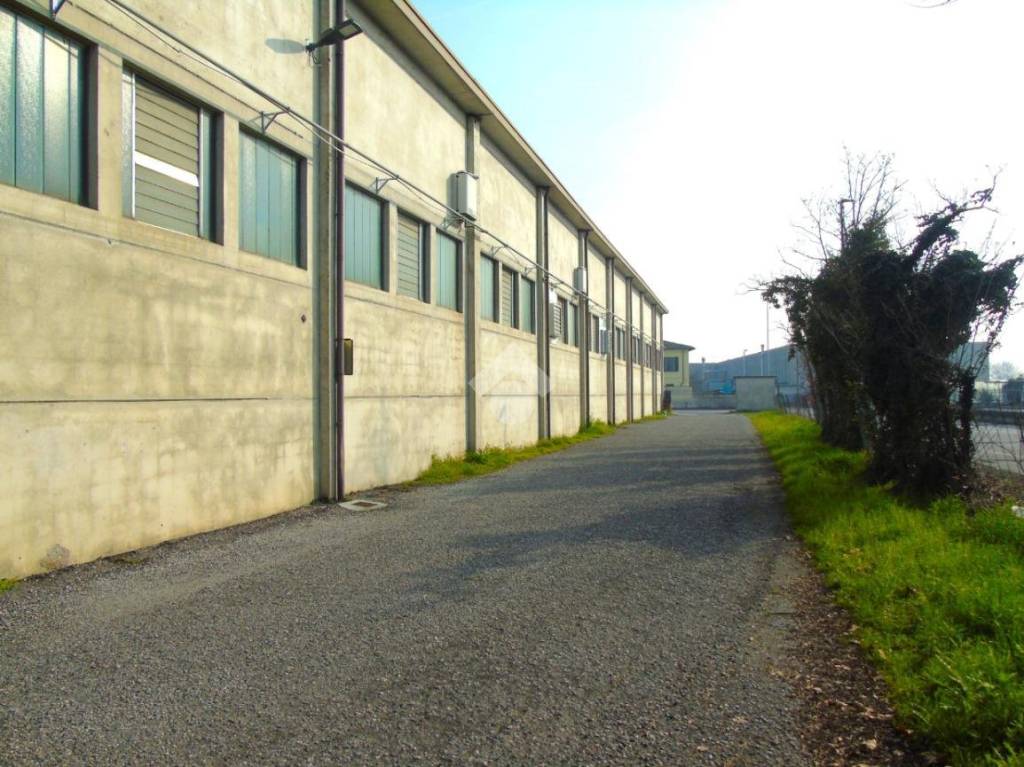 immagine annuncio 13 di 15
