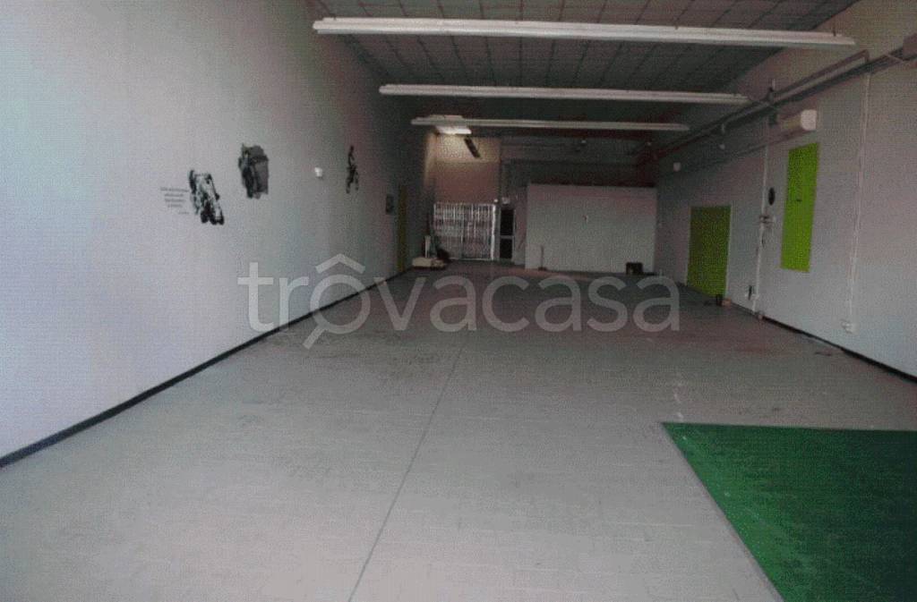 immagine annuncio 6 di 11