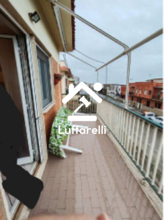 immagine annuncio 11 di 14