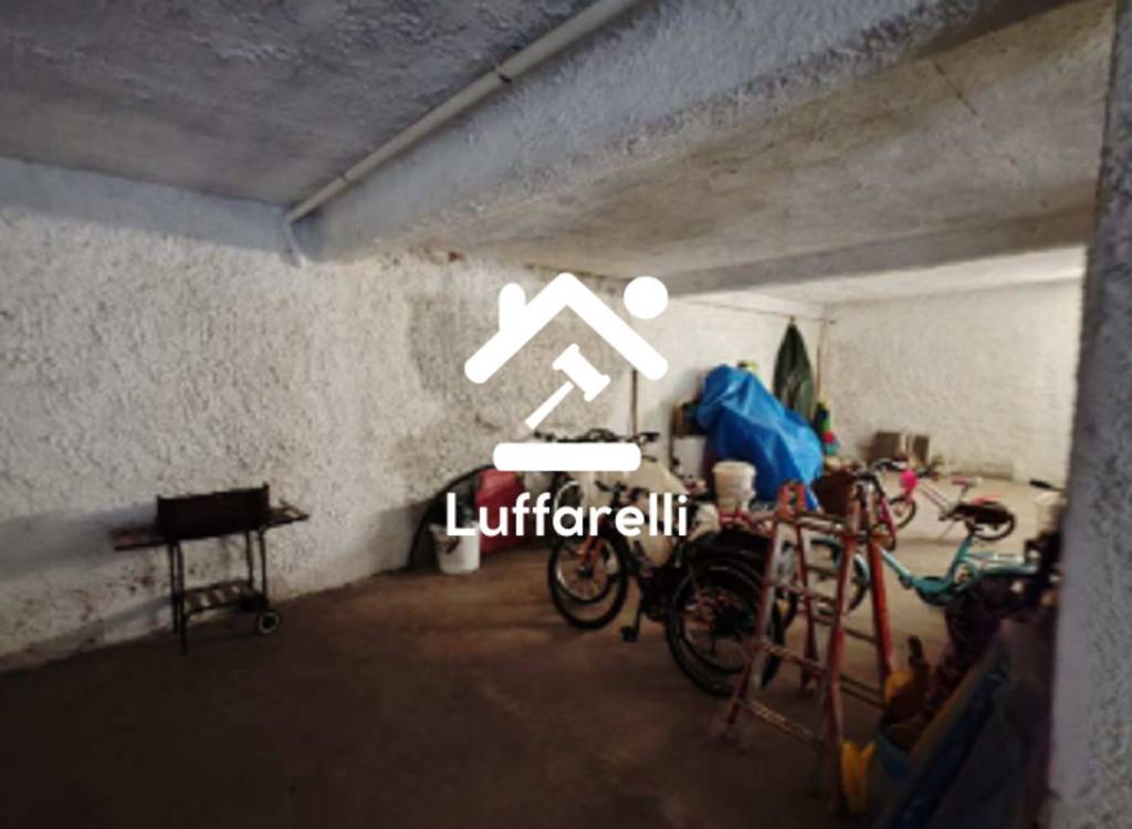 immagine annuncio 12 di 14
