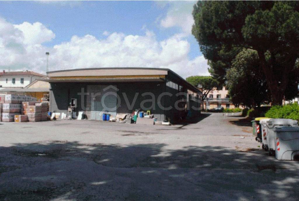 immagine annuncio 12 di 14