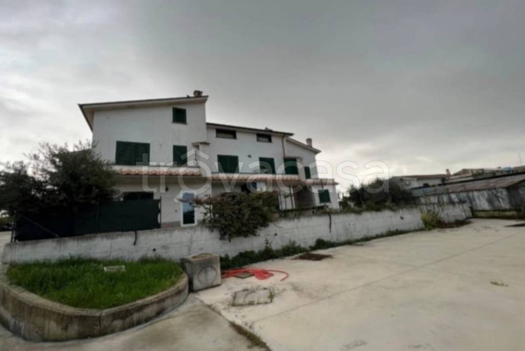 immagine annuncio 10 di 13