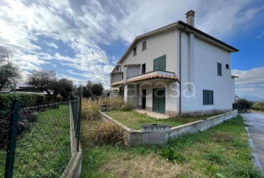 immagine annuncio 11 di 13