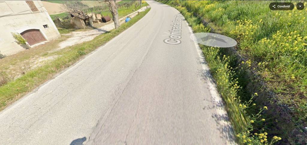 immagine annuncio 3 di 11