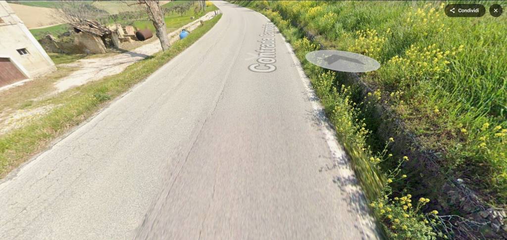 immagine annuncio 4 di 11