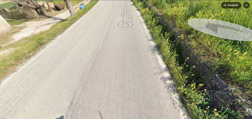 immagine annuncio 5 di 11