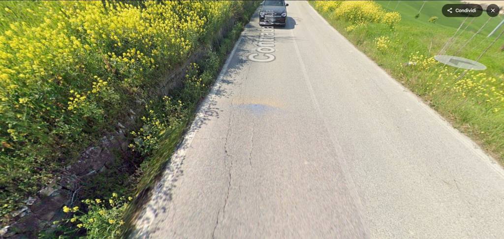 immagine annuncio 8 di 11
