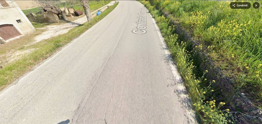 immagine annuncio 9 di 11