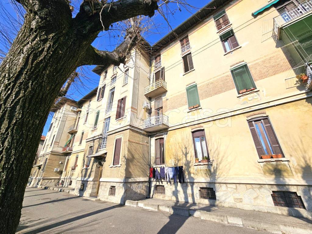 immagine annuncio 13 di 15