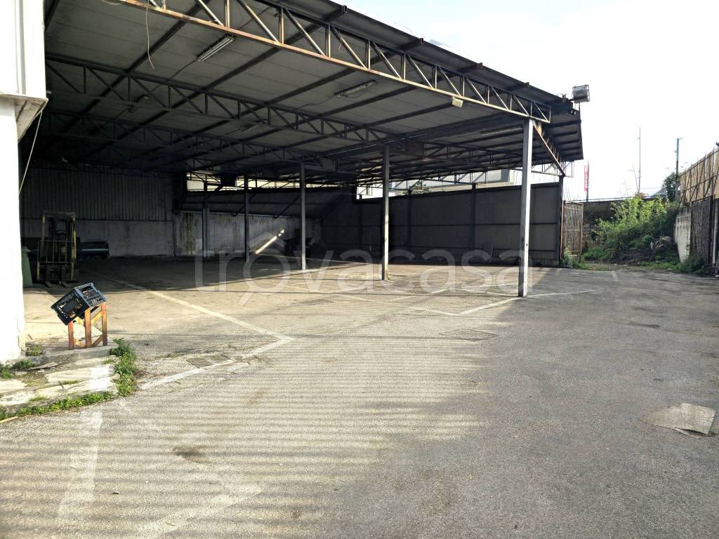 immagine annuncio 5 di 6