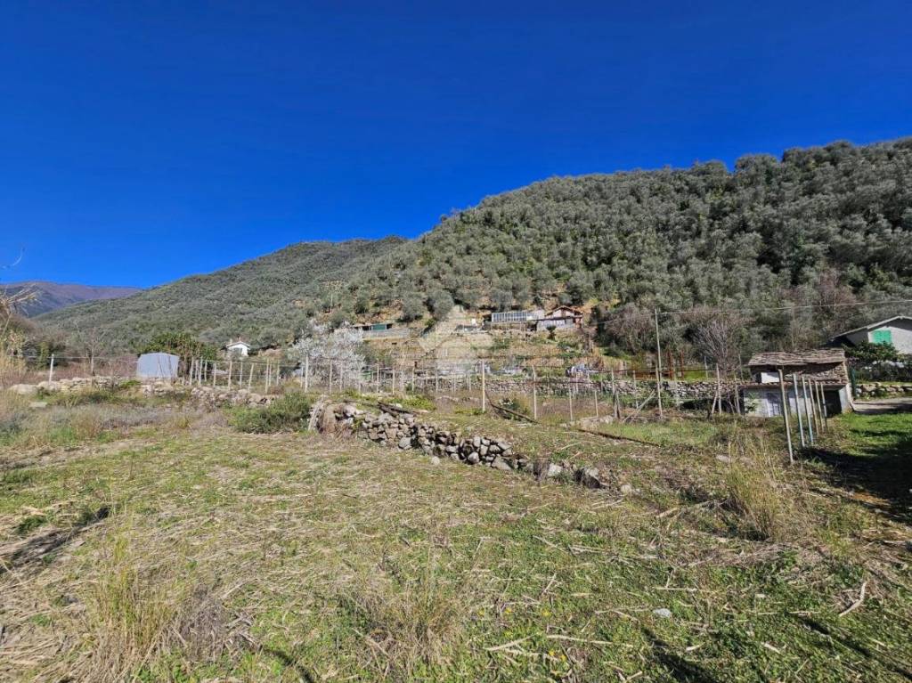 immagine annuncio 6 di 14