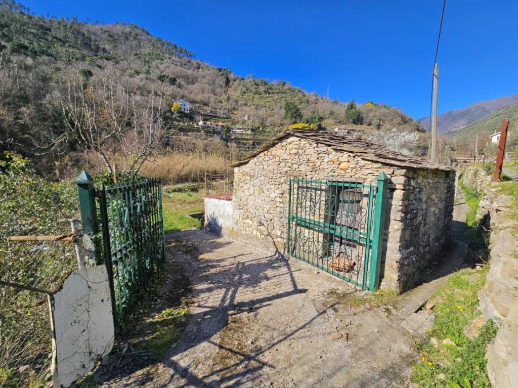 immagine annuncio 10 di 14