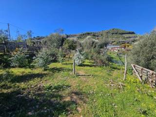 Terreno agricolo in vendita a taggia via beglini snc