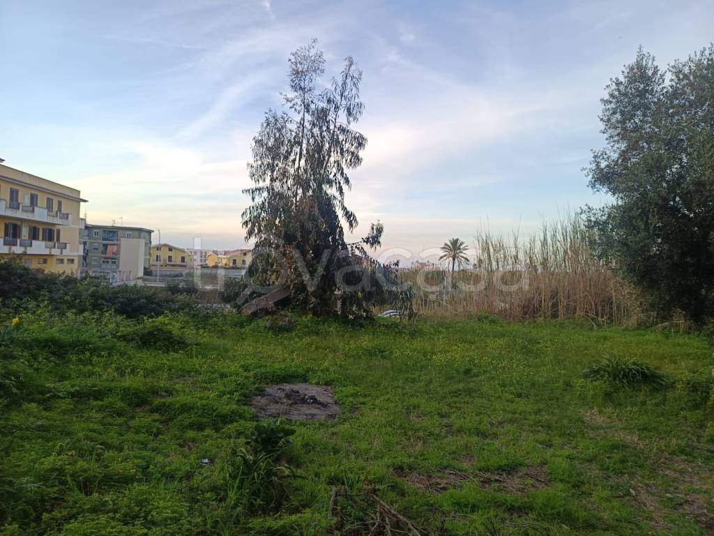 immagine annuncio 4 di 6