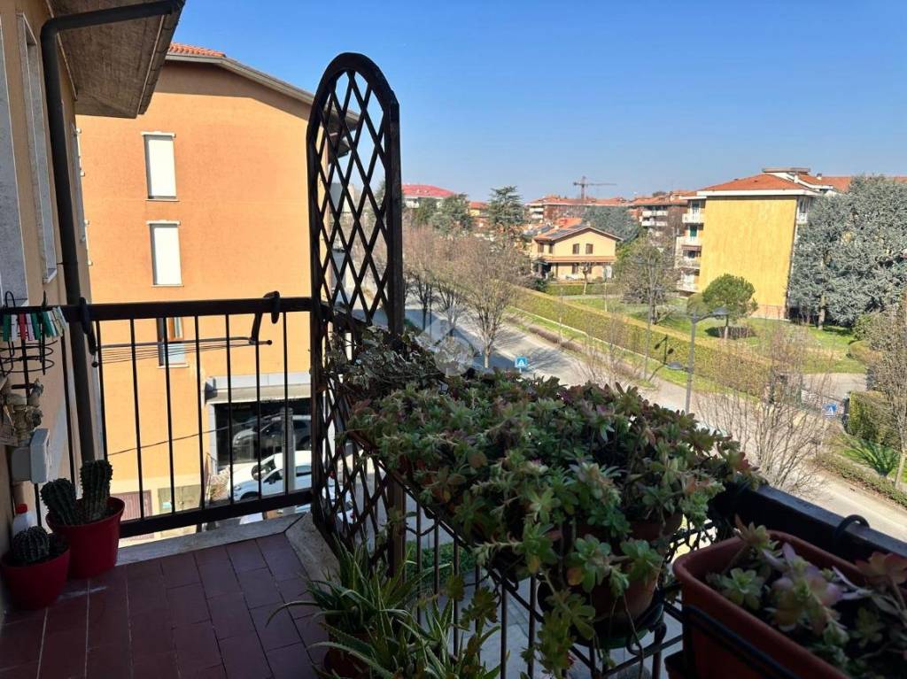 immagine annuncio 7 di 14