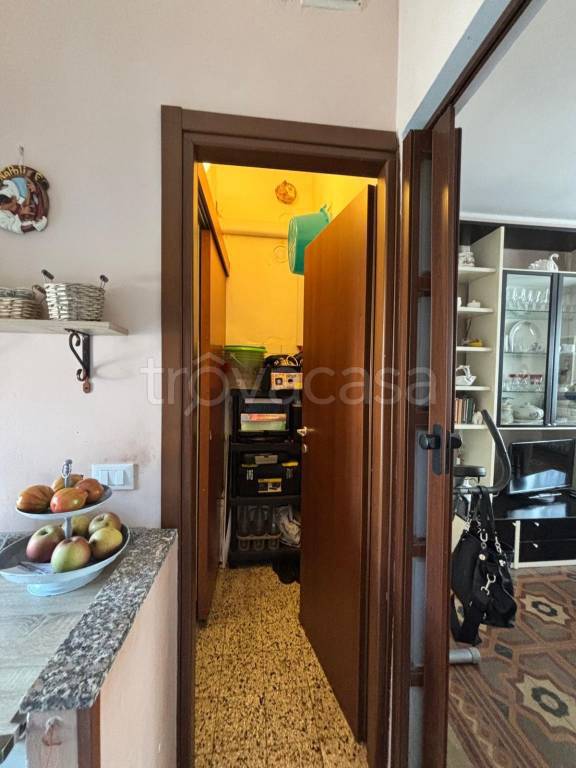 immagine annuncio 11 di 14