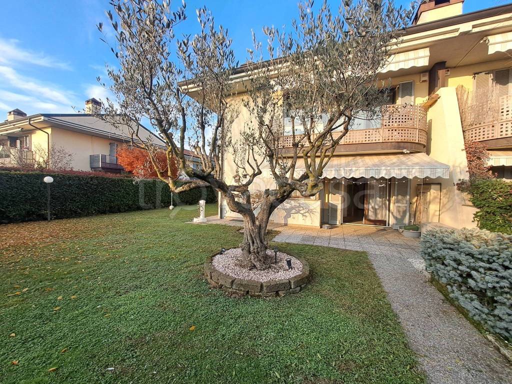 immagine annuncio 1 di 15