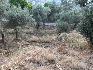 Terreno agricolo in vendita a boissano via colle