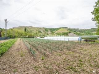 Terreno agricolo in vendita a maranello 