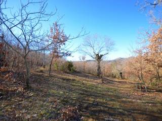 Terreno agricolo in vendita ad arcidosso località piane