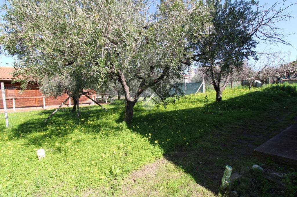 immagine annuncio 6 di 8
