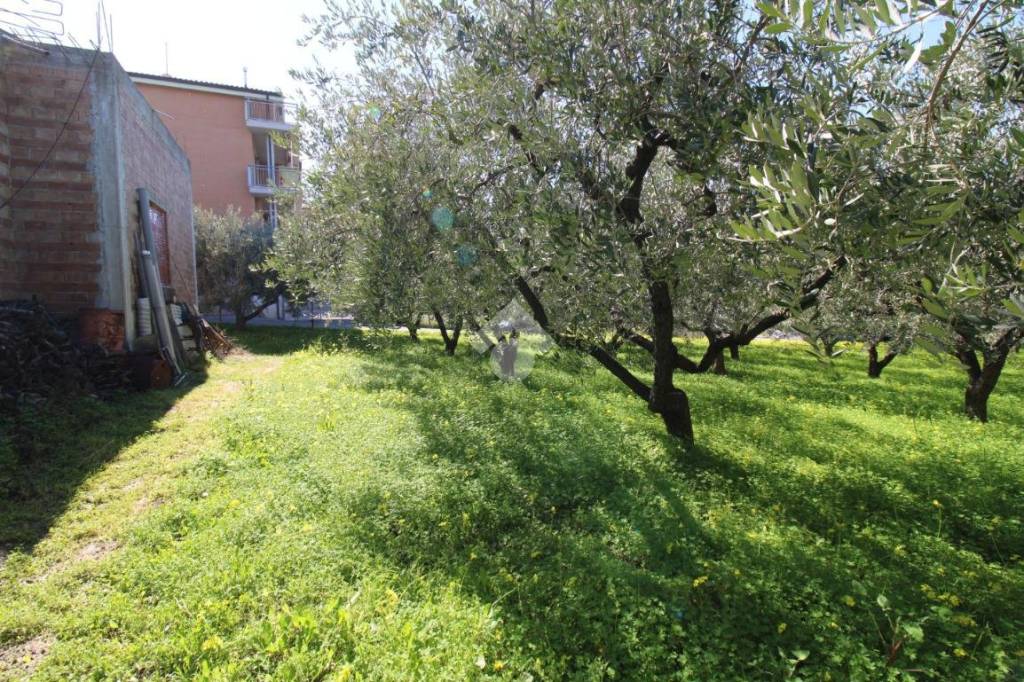 immagine annuncio 7 di 8