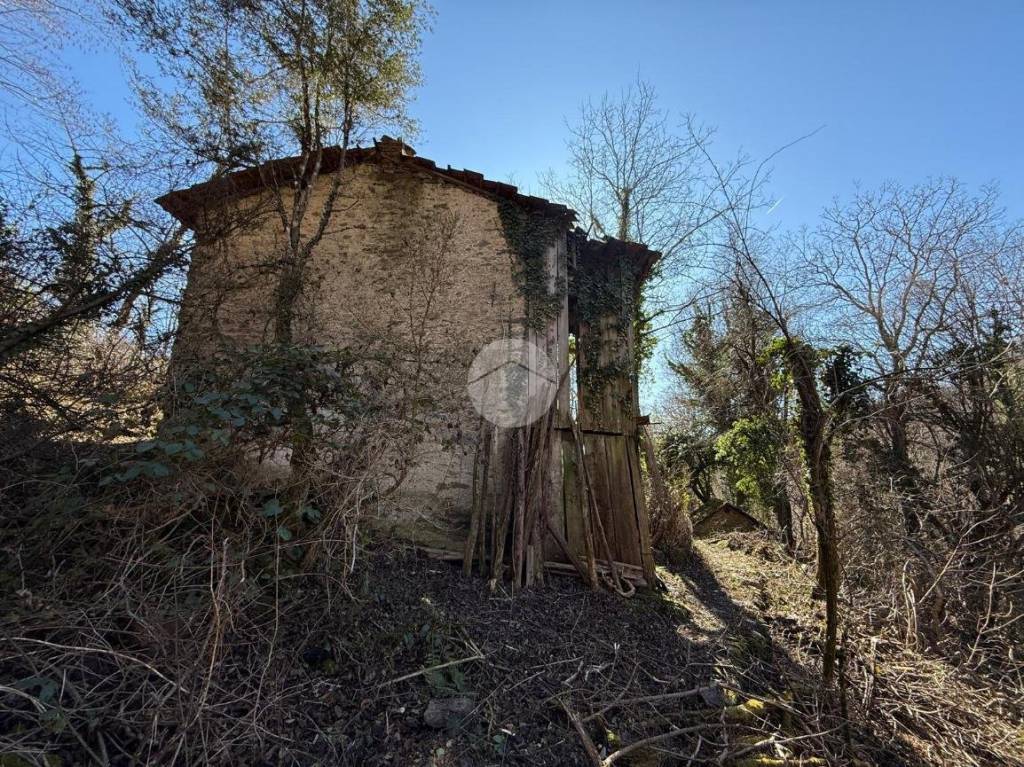 immagine annuncio 3 di 11
