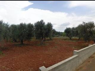 Terreno agricolo in vendita a casarano strada provinciale casarano ruffano