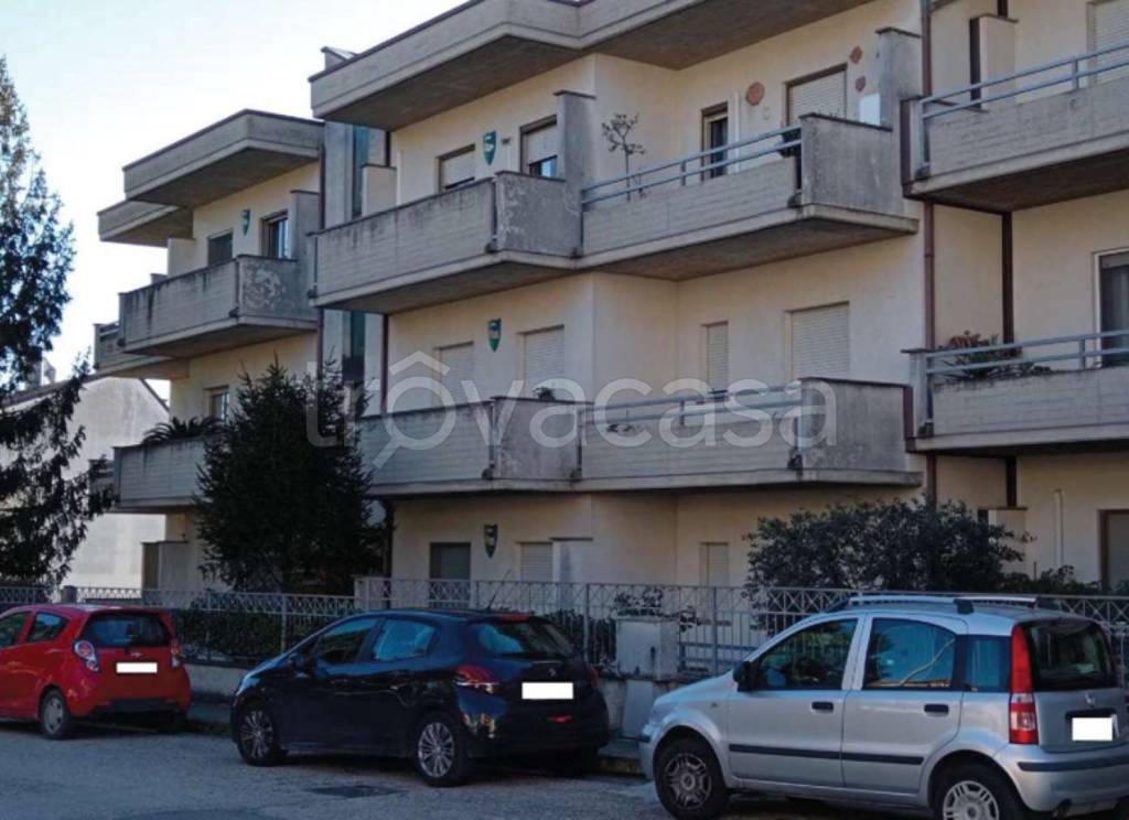immagine annuncio 8 di 15