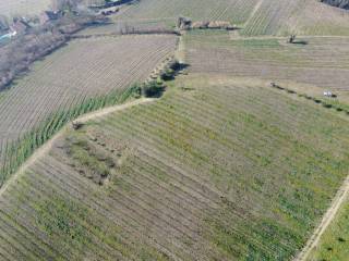 Terreno agricolo in vendita a vignale monferrato vignale monferrato