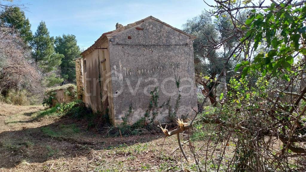immagine annuncio 2 di 6