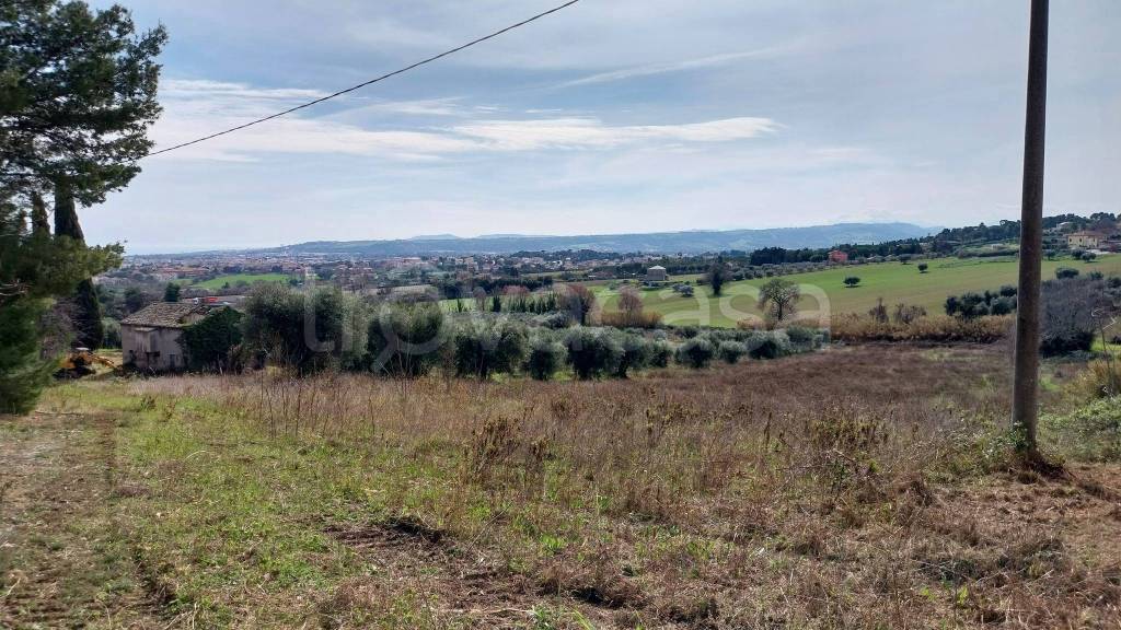 immagine annuncio 4 di 6