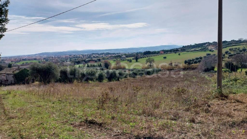 immagine annuncio 5 di 6