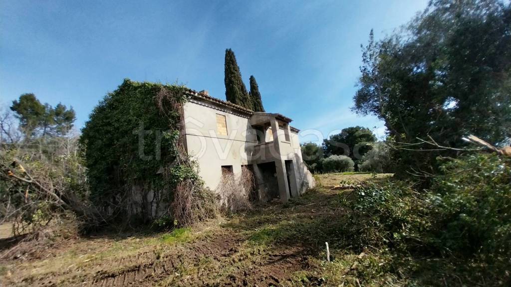 immagine annuncio 2 di 12