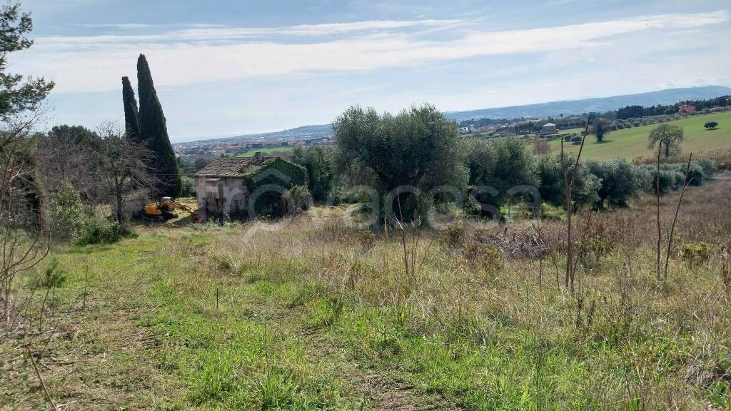 immagine annuncio 4 di 12