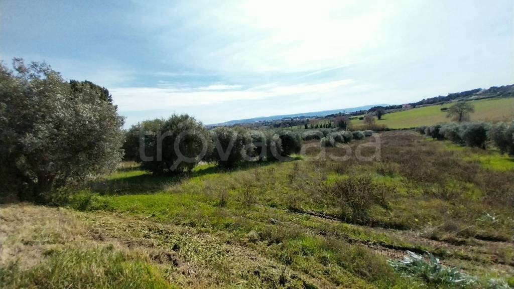 immagine annuncio 7 di 12