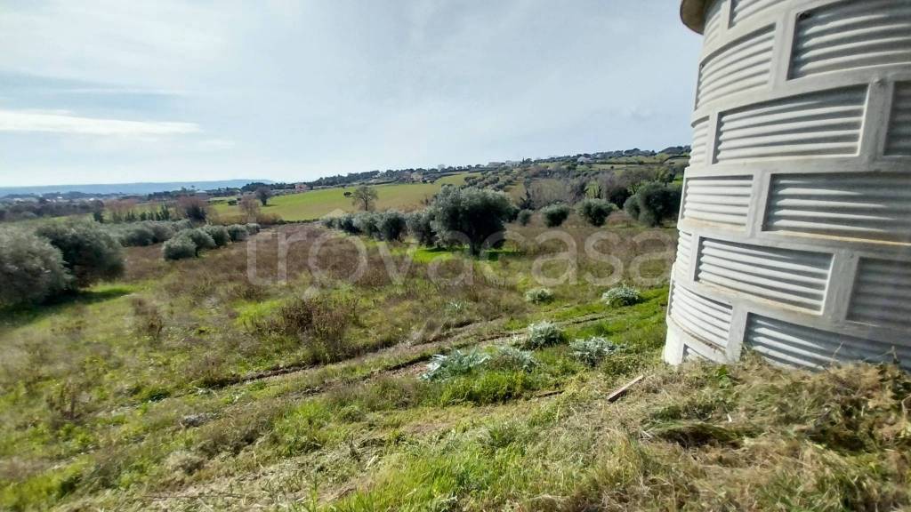 immagine annuncio 8 di 12