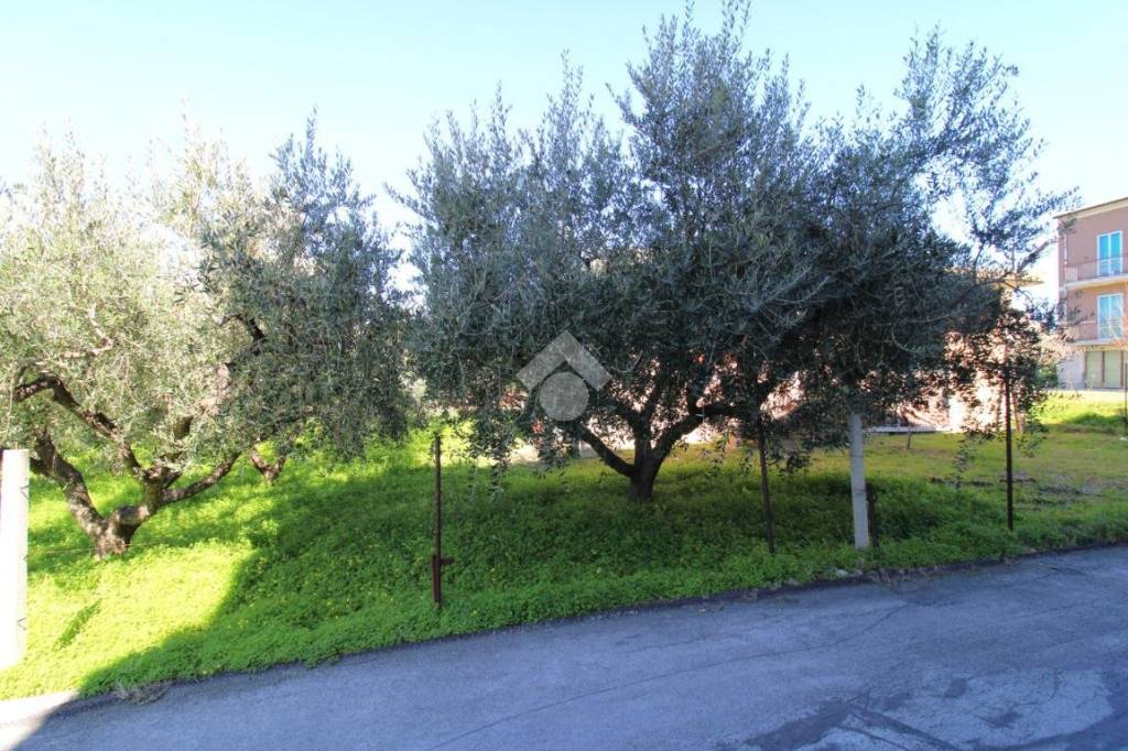 immagine annuncio 3 di 8