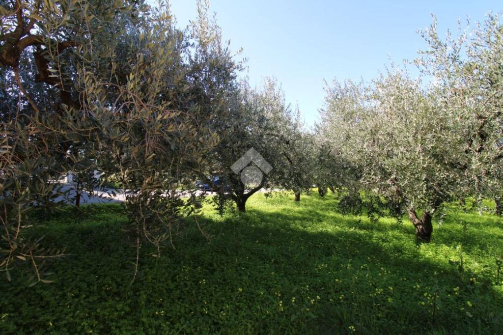 immagine annuncio 5 di 8