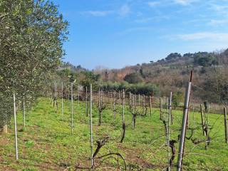 Terreno agricolo in vendita a pesaro 