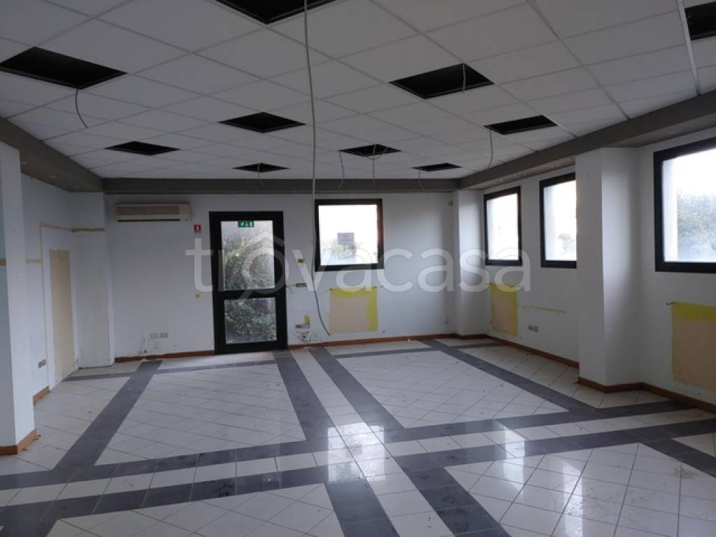 immagine annuncio 11 di 14