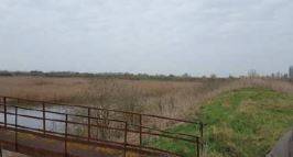 Terreno agricolo all'asta a san pietro in casale via altedo, san pietro in casale bo, italia