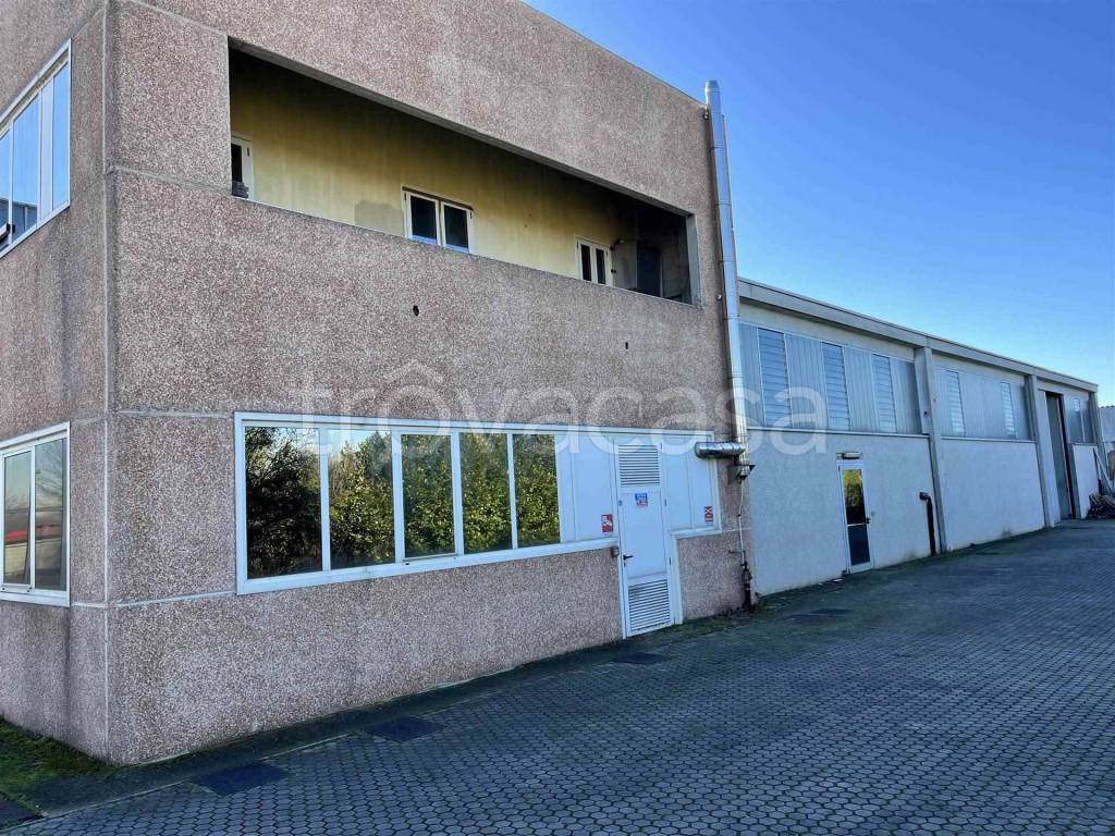 immagine annuncio 4 di 15