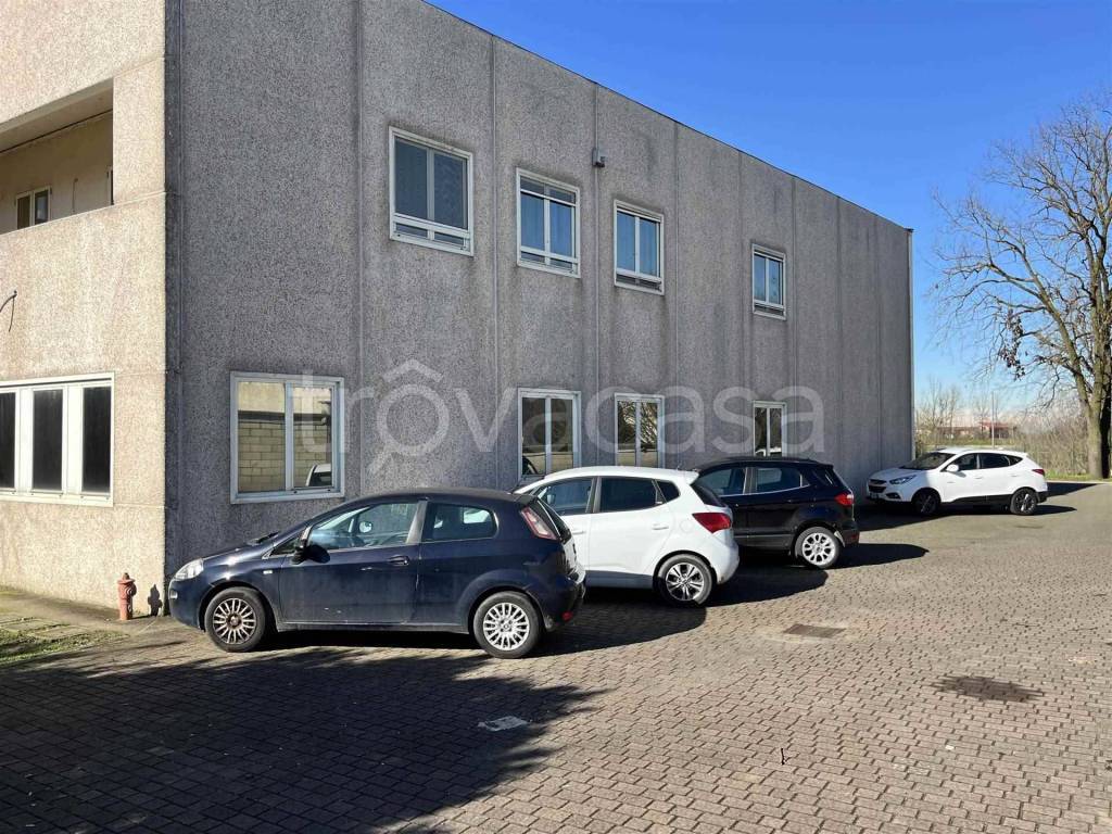 immagine annuncio 6 di 15